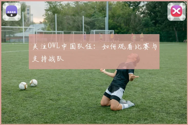 关注OWL中国队伍：如何观看比赛与支持战队
