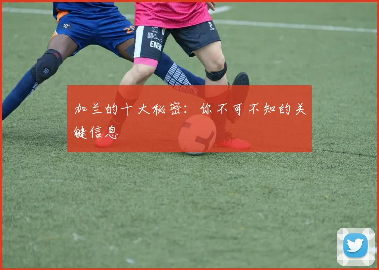 加兰的十大秘密：你不可不知的关键信息