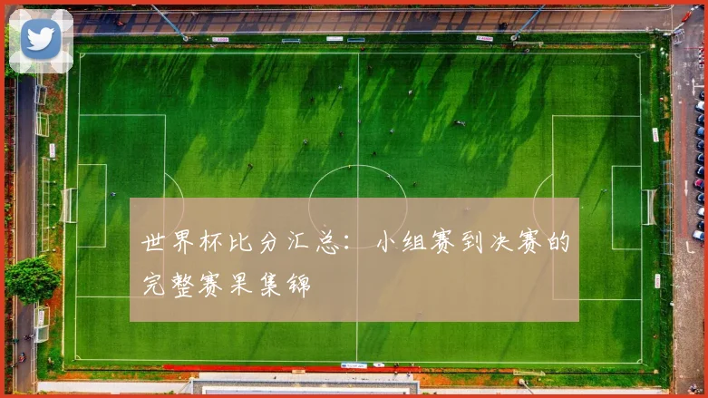世界杯比分汇总：小组赛到决赛的完整赛果集锦