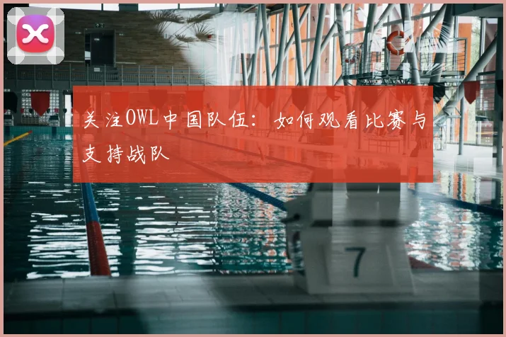 关注OWL中国队伍：如何观看比赛与支持战队