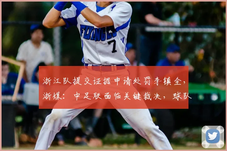 浙江队提交证据申请处罚李镇全,浙媒:中足联面临关键裁决,球队权益受关注
