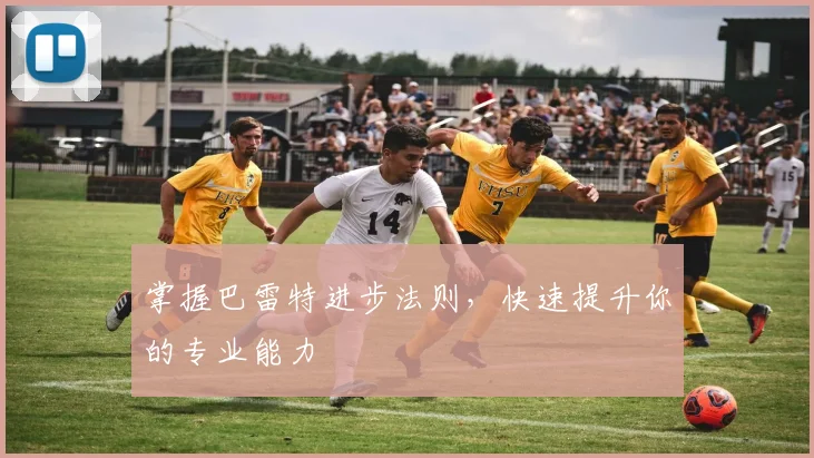 掌握巴雷特进步法则，快速提升你的专业能力