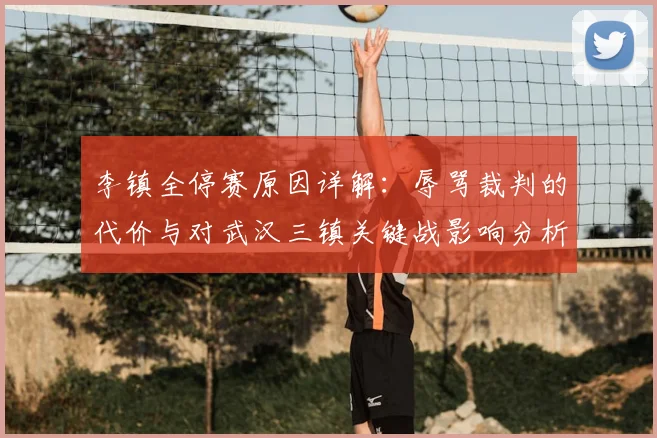 李镇全停赛原因详解:辱骂裁判的代价与对武汉三镇关键战影响分析